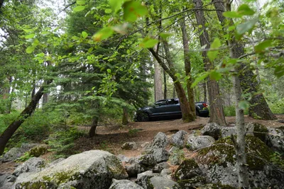 DSC_4635 (Large).JPG